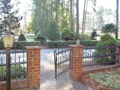 Metal Ornamental Front Gate