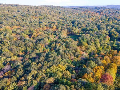 0 Pitts Rd unit 20232833, Chatham, NY 12136 - photo 6