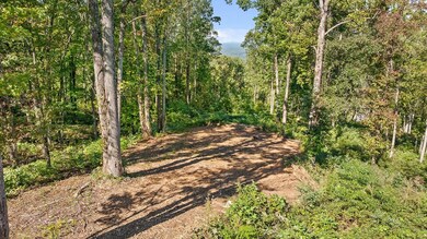 Lot 38 High Summit Dr, Talking Rock, GA 30175 - photo 6