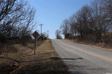 TBD Byron Rd, Salem, AR 72576 - photo 4