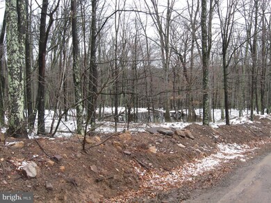 0 Off Cold Run Valley Rd unit 1000289098, Berkeley Springs, WV 25411 - photo 6