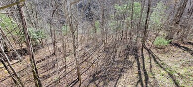 130 Richter Dr, Topton, NC 28781 - photo 4