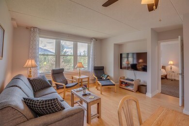 28 Packard Rd unit 523, Waterville Valley, NH 03215 - photo 5