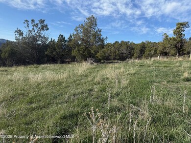 Colorado Building Lot Collbran Colo 3
