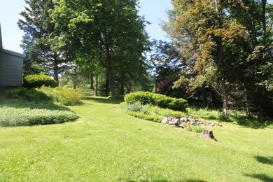 Lovely and Spacious yard