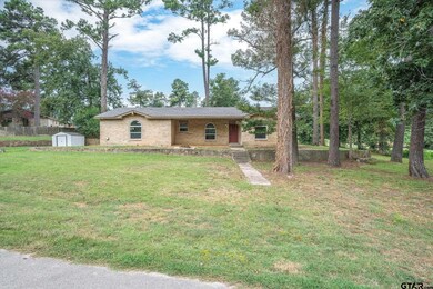10303 County Road 2253, Tyler, TX 75707 - photo 2