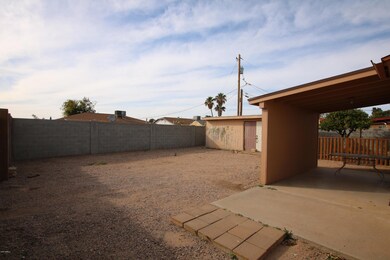 Backyard 1