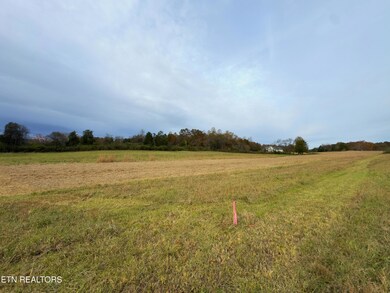 7662 Haws Rd, Knoxville, TN 37920 - photo 4