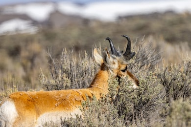 000 Milky Way Rd, Kemmerer, WY 83101 - photo 4