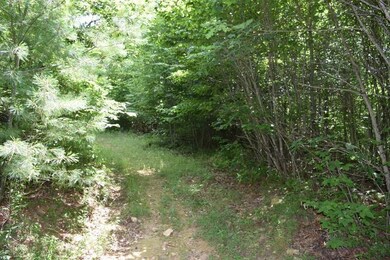 DSC_0221 (800x533)
