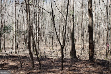 0 Jackson Gin Rd unit 10469996, Harrison, GA 31035 - photo 5