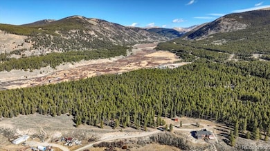 11622 Populist, Leadville, CO 80461 - photo 3