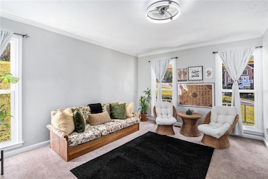 Carpeted living area featuring crown molding and a textured ceiling