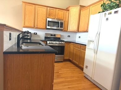 9411 Albany Ct, Orland Park, IL 60467 - photo 4