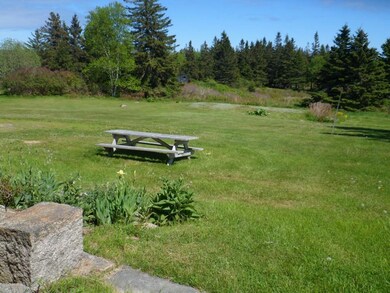 Spacious and private back yard.