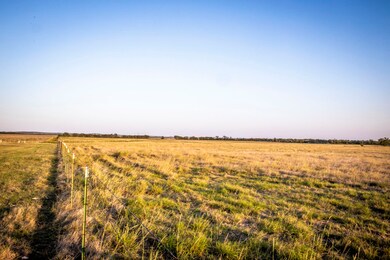 16235 Fm 107, Moody, TX 76557 - photo 5