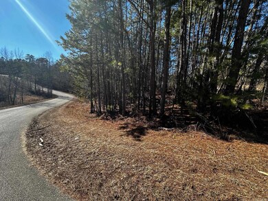 Lot 108 Cobalt Bay Dr, Shirley, AR 72153 - photo 4