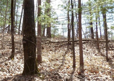 wooded lake lot