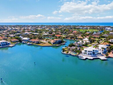 491-gray-ct-marco-island-fl-34145-aerial