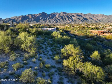 3930 E Sumo Noveno, Catalina Foothills, AZ 85718 - photo 6