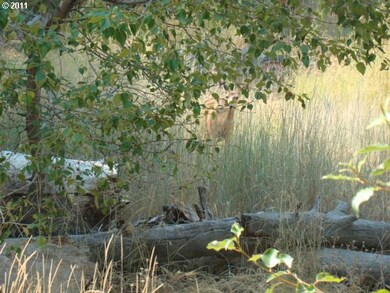 29968 Dixie Creek Rd, Prairie City, OR 97869 - photo 5