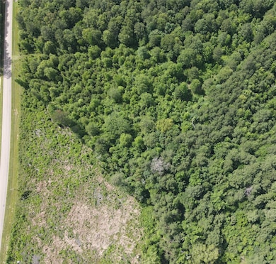 321 Fuller Rd, Minden, LA 71055 - photo 3