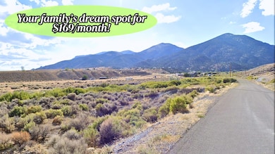 7 Ruthe Ct, Austin, NV 89310 - photo 3