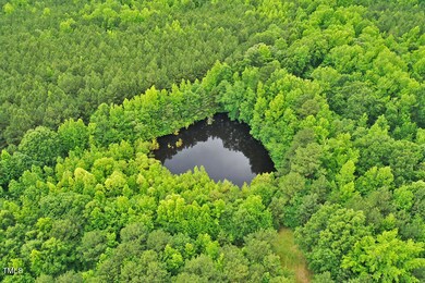 DJI_0497
