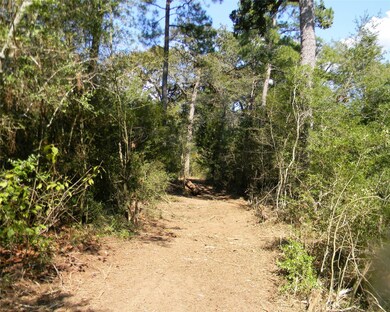 0 Old Joseph Rd, Hockley, TX 77447 - photo 7