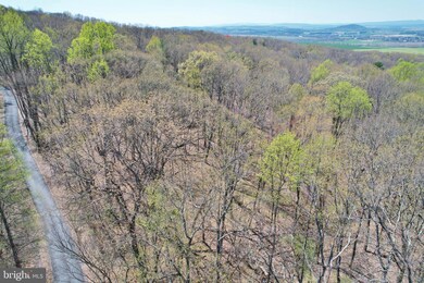 0 Brush Leaf Ln unit VASH2003004, Mount Jackson, VA 22842 - photo 6