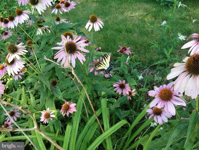 932 Windsor Ave, Annapolis, MD 21403 - photo 6