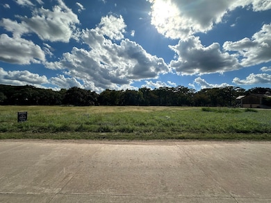 129 Russo Ln unit 3, Hunt, TX 78024 - photo 3