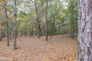 Brick Landing Lot-18