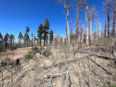 0 Colorado 159 unit 25751515, Fort Garland, CO - photo 6