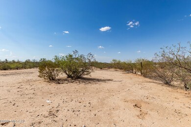16075 W Quinlin Trail, Three Points, AZ 85735 - photo 5
