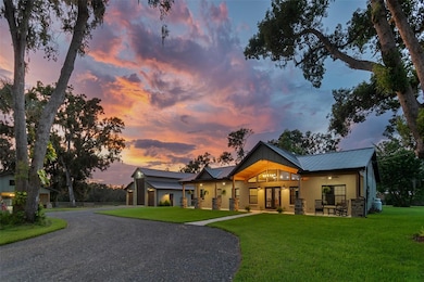 1517 Uncle Buds Ln, Lithia, FL 33547 - photo 6