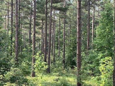 1054 Mount Sinai Rd, Lula, GA 30554 - photo 2