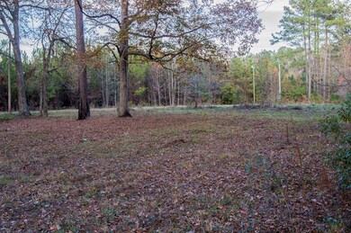 Smith Lane - Land 2
