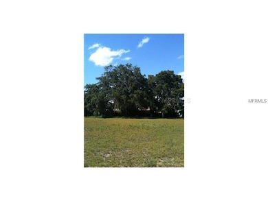 0 E Laurel Ave unit G4841821, Howey In the Hills, FL 34737 - photo 5