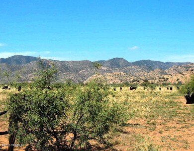 Dragoon Mtns