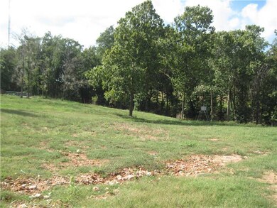 0 Brush Creek Rd unit 696587, Tontitown, AR 72770 - photo 2
