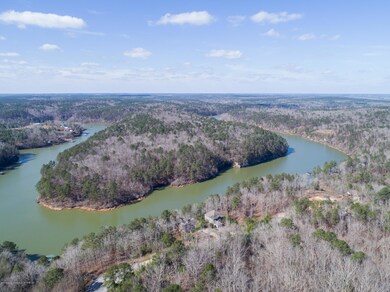 National Forest View