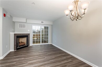 Chandlers Lane Condominiums unit 227, Olmsted Falls, OH 44138 - photo 3