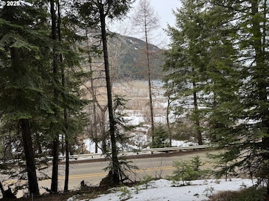 0 Forest Dell Rd unit 648401436, Wallowa Lake, OR 97846 - photo 3
