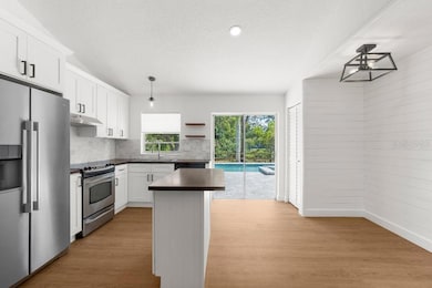 7050 Jenner Ave, New Port Richey, FL 34655 - photo 4