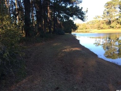 1453 Gleasons Landing Dr, Saint Helena Island, SC 29920 - photo 6