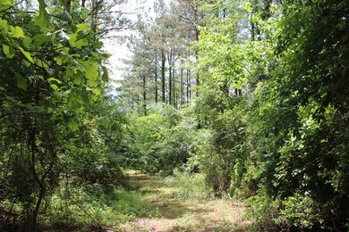 0 Fm 2497 unit 62476, Hudson, TX 75904 - photo 4