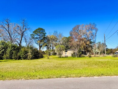 1608 Valentine Ave, Albany, GA 31705 - photo 2