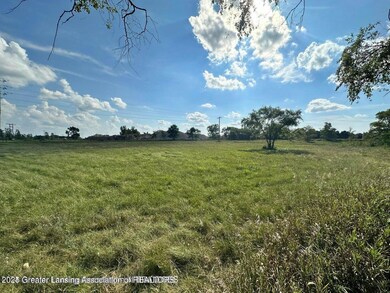 0 W Colony unit 286993, St. Johns, MI 48879 - photo 5