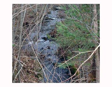 Land. This Brook Is Part Of The 97...